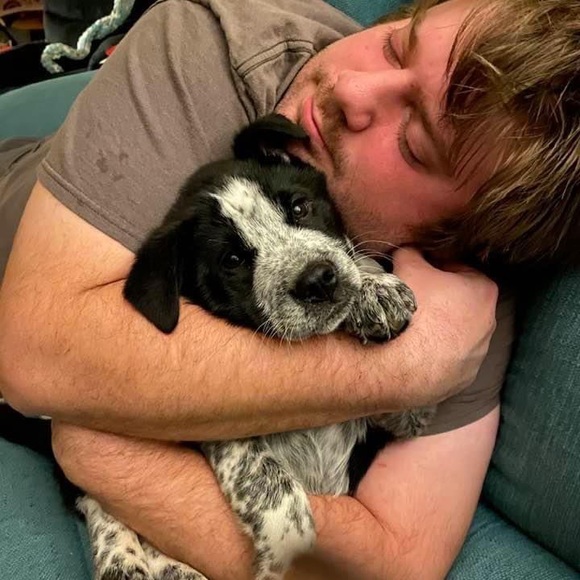 Meet your Posher, Kristine - Picture 4 of 6